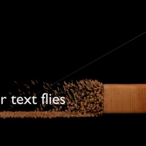 your_text_flies_preview